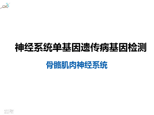 神经系统单基因遗传病基因检测