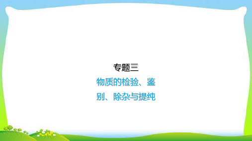 初中化学中考三物质的检验、鉴别、除杂与提纯总复习完美版