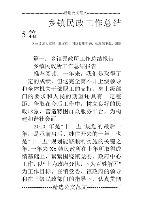 乡镇民政工作总结5篇