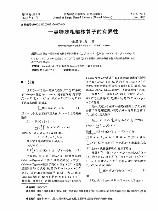 一类特殊粗糙核算子的有界性