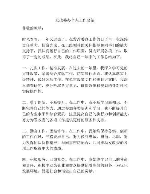 发改委办个人工作总结