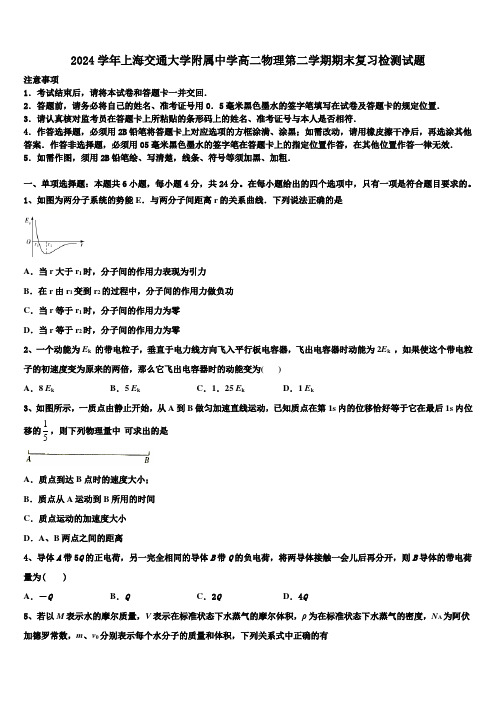 2024学年上海交通大学附属中学高二物理第二学期期末复习检测试题(含解析)