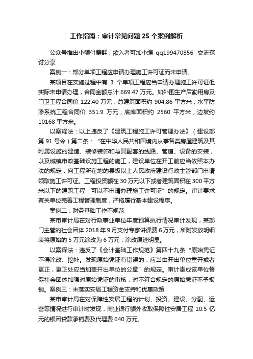 工作指南：审计常见问题25个案例解析