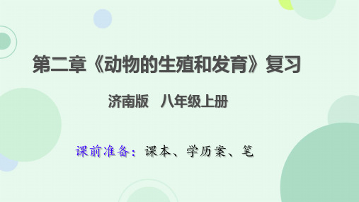 4.2动物的生殖和发育 复习课件(共15张PPT)济南版初中生物八年级上册