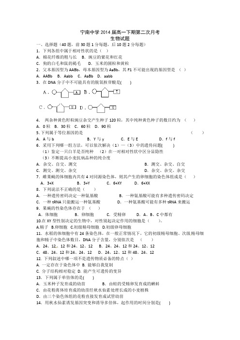 宁南中学2014届高一下期5月考生物试卷