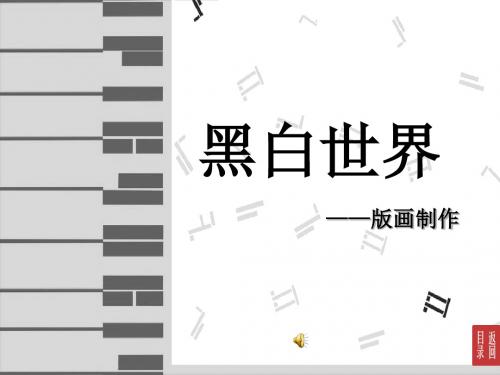 湘美版美术七下第2课《黑白世界》课件1