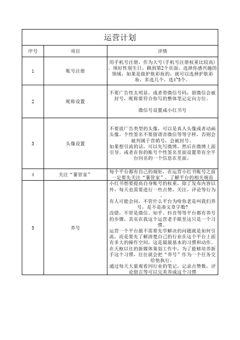 小红书运营计划书模板