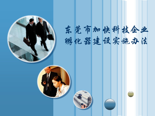 东莞市加快科技企业孵化器建设实施办法 PPT