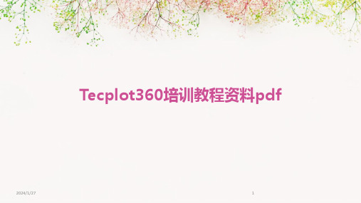 Tecplot360培训教程资料pdf(2024)