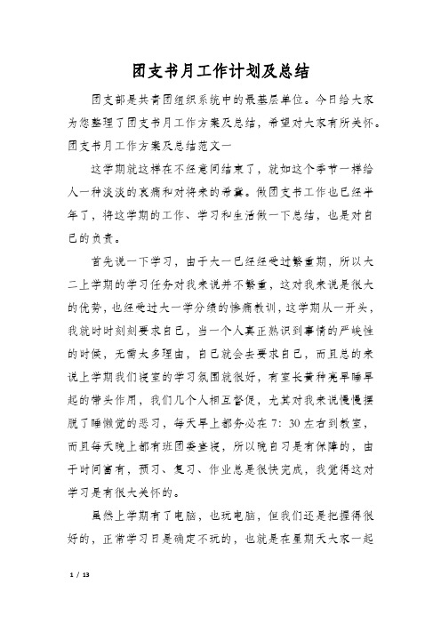 团支书月工作计划及总结