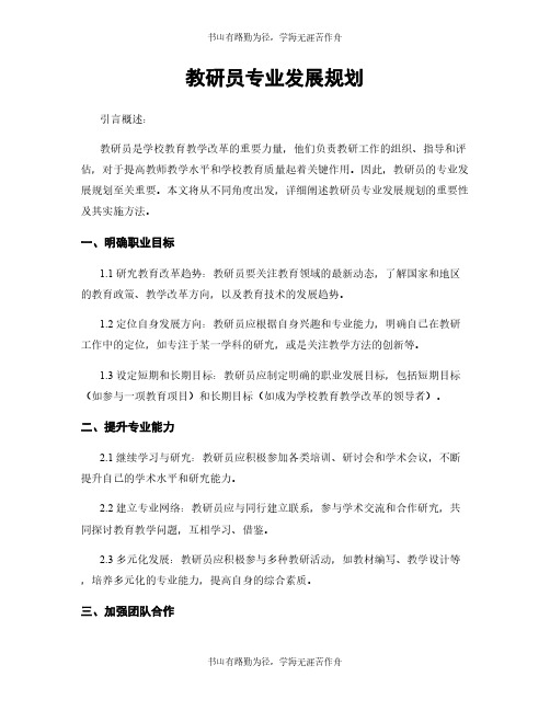 教研员专业发展规划