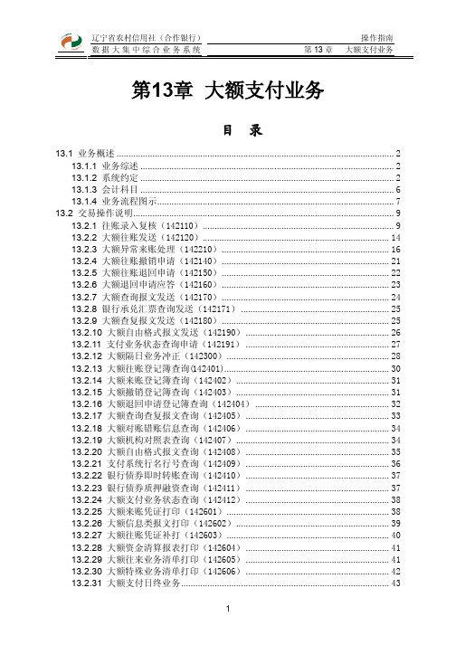 大额支付业务操作指南