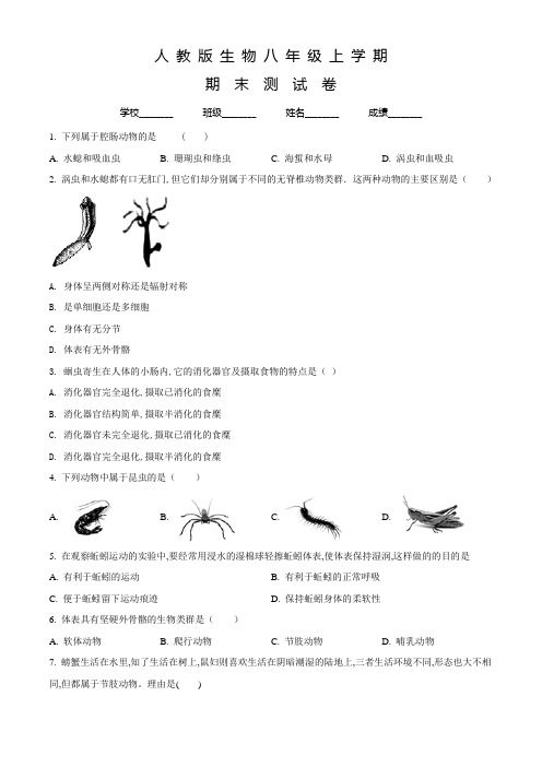 人教版生物八年级上学期《期末考试卷》含答案解析