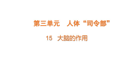 15 大脑的作用 课件(共16张PPT)科学六年级上册粤教粤科版