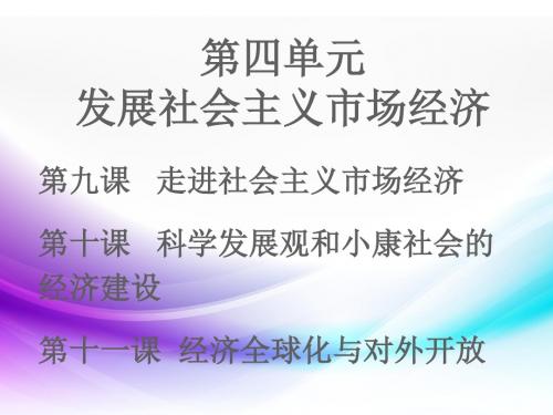 2018年高考政治一轮复习课件：第十一课  经济全球化与对外开放