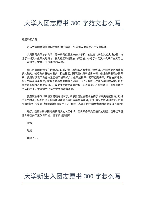 2019年最新大学入团志愿书800字标准范文入团申请书文档【十篇】 (3)