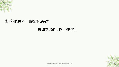 结构化思考形象化表达用图表话做一流课件