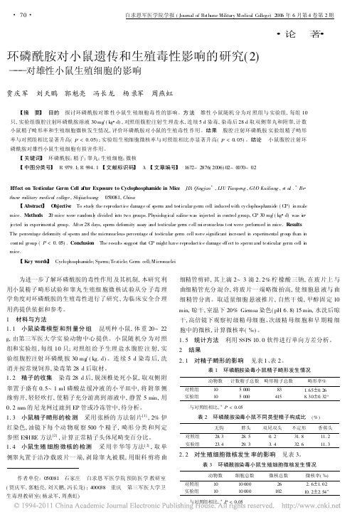 环磷酰胺对小鼠遗传和生殖毒性影响的研究对雄性小鼠生殖细胞的影响