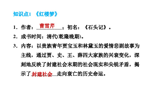 人教版七年级下册历史第3单元第21课清朝前期的文学艺术习题课件01