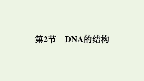 2020_2021学年新教材高中生物第3章基因的本质第2节DNA的结构课件新人教版必修2