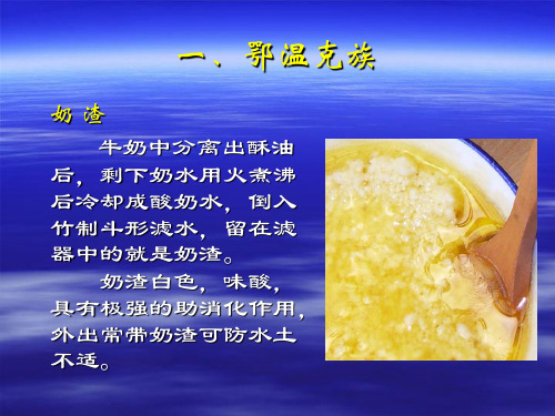 饮食民俗5民族饮食部分.ppt