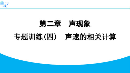 八年级上册物理【课后练】专题训练(四) 声速的相关计算