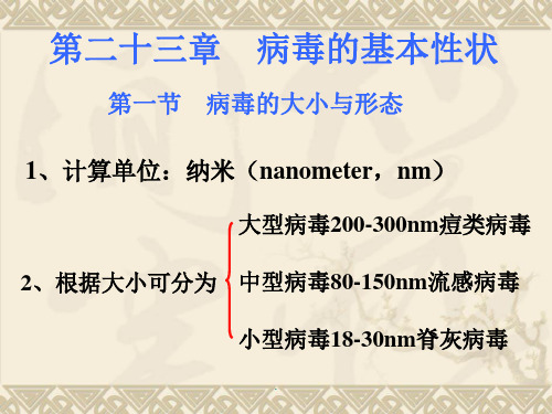 【大学】病毒的基本性状