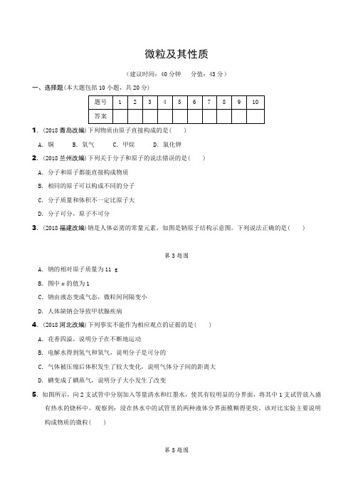 2019年中考化学考前必练-微粒及其性质(精练)解析版