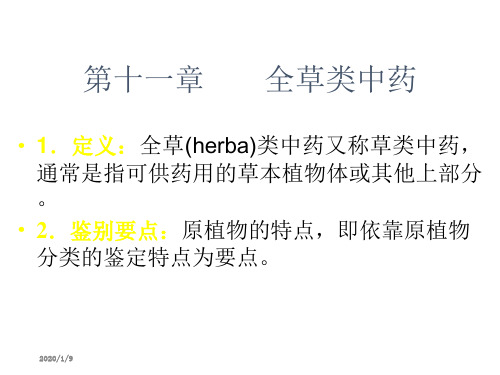 全草类中药--槲寄生、麻黄、金钱草、广霍香、薄荷、穿心莲、肉苁蓉、锁阳、青蒿、茵陈、石斛、