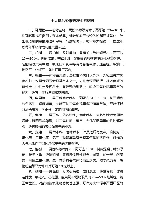 十大抗污染吸收灰尘的树种