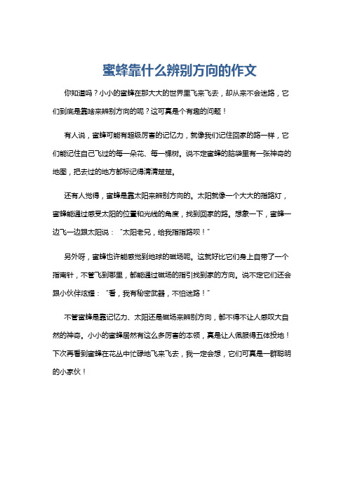 蜜蜂靠什么辨别方向的作文