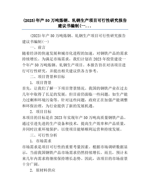 (2023)年产50万吨炼钢、轧钢生产项目可行性研究报告建议书编制(一...