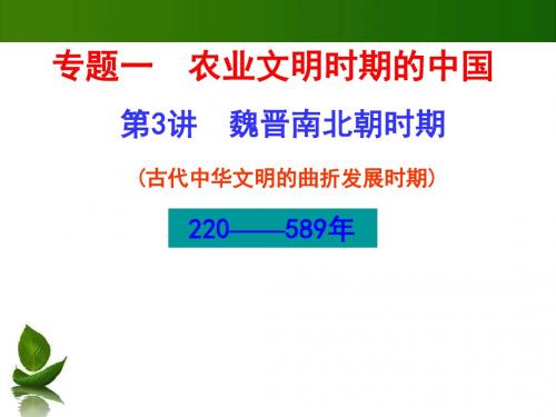 高三历史二轮复习课件：专题一 农业文明时期的中国和世界 第3讲 魏晋南北朝