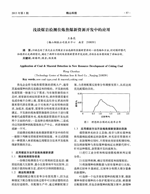 浅谈煤岩检测在炼焦煤新资源开发中的应用