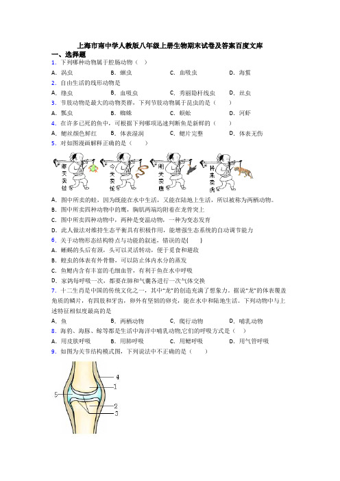 上海市南中学人教版八年级上册生物期末试卷及答案百度文库