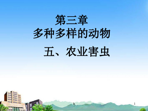 七年级生物上册 第三章 多种多样的动物 农业害虫课件 冀教版