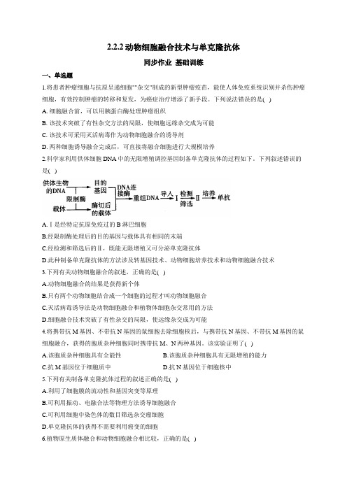 高中生物人教版(2019)选择性必修三同步作业 2.2.2动物细胞融合技术与单克隆抗体 基础训练