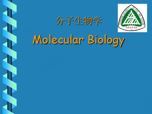 分子生物学Molecular Biology