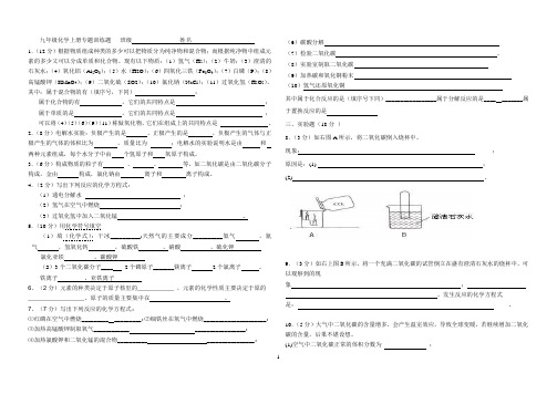 九年级化学上册专题训练(学生用)