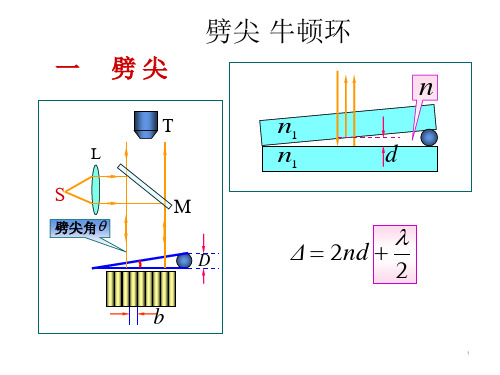 高中物理奥林匹克竞赛——劈尖-牛顿环