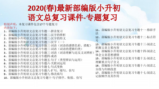 2020(春)最新部编版小升初语文总复习课件-专题复习(17个专题)