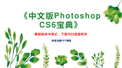 《中文版Photoshop CS6宝典》读书笔记思维导图