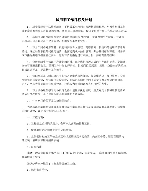 试用期工作目标及计划