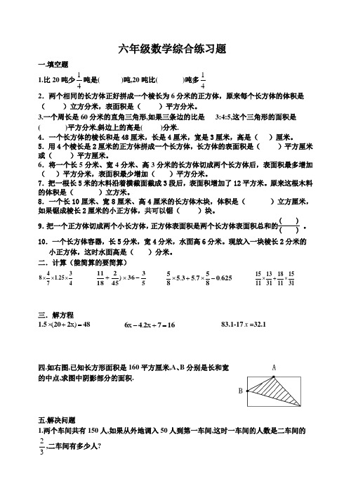 六年级上册数学试题-综合练习苏教版(无答案)