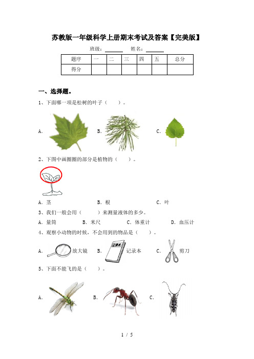 苏教版一年级科学上册期末考试及答案【完美版】