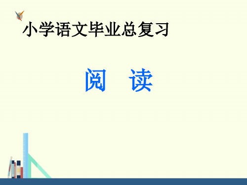 2019年小升初语文阅读总复习PPT课件