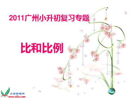 2011广州小升初复习专题—比和比例