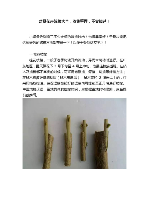 盆景花卉嫁接大全，收集整理，不容错过！