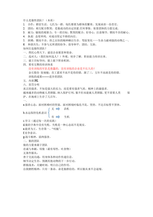 什么是狼性团队(word文档良心出品)