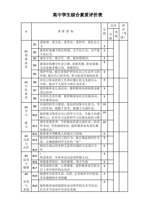 高中学生综合素质评价表